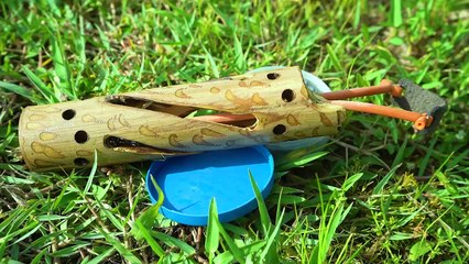 Membuat Slingshot Bambu Kreatif dan Dahsyat