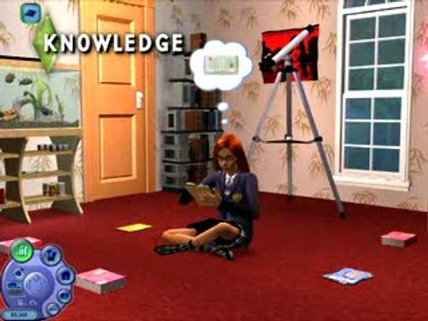 Les Sims 2 : Nouveautés