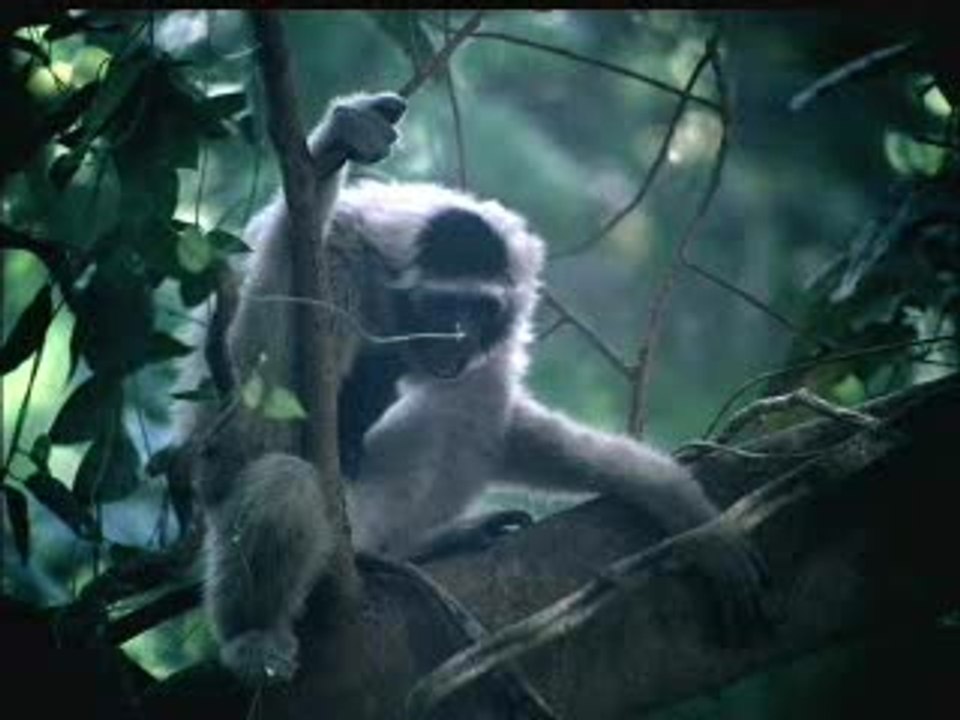 Metal Gear Solid 3 : Snake Eater : Spot TV 30 sec