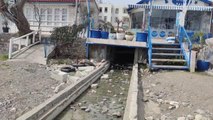 Datça'da denize akan suyun kötü koku yaydığı iddiası incelenecek