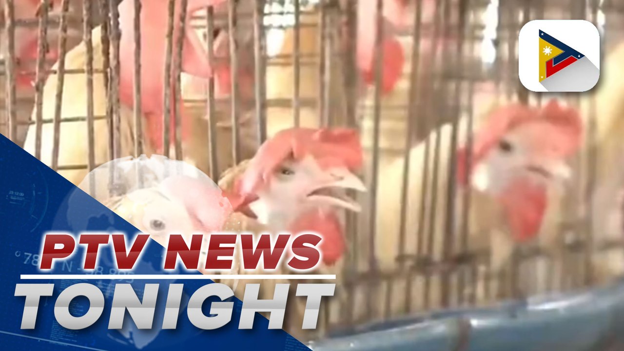 BAI appeals for stricter surveillance, containment measures to prevent spread of bird flu