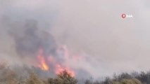 Son dakika haberleri: Sisam adasında büyük orman yangını... Bazı köyler tedbir amaçlı boşaltıldı