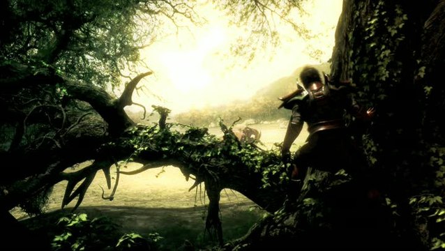 Divinity II : Ego Draconis : Dragon Slayer