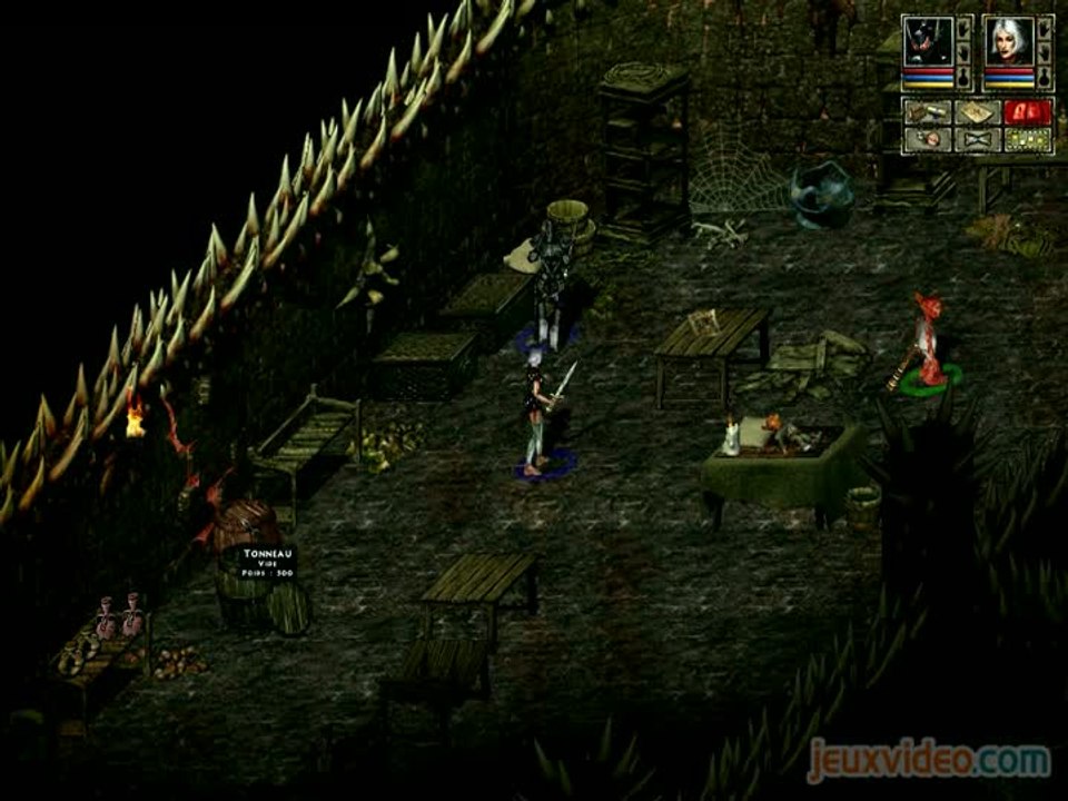 Beyond Divinity : Lutins et Squelettes