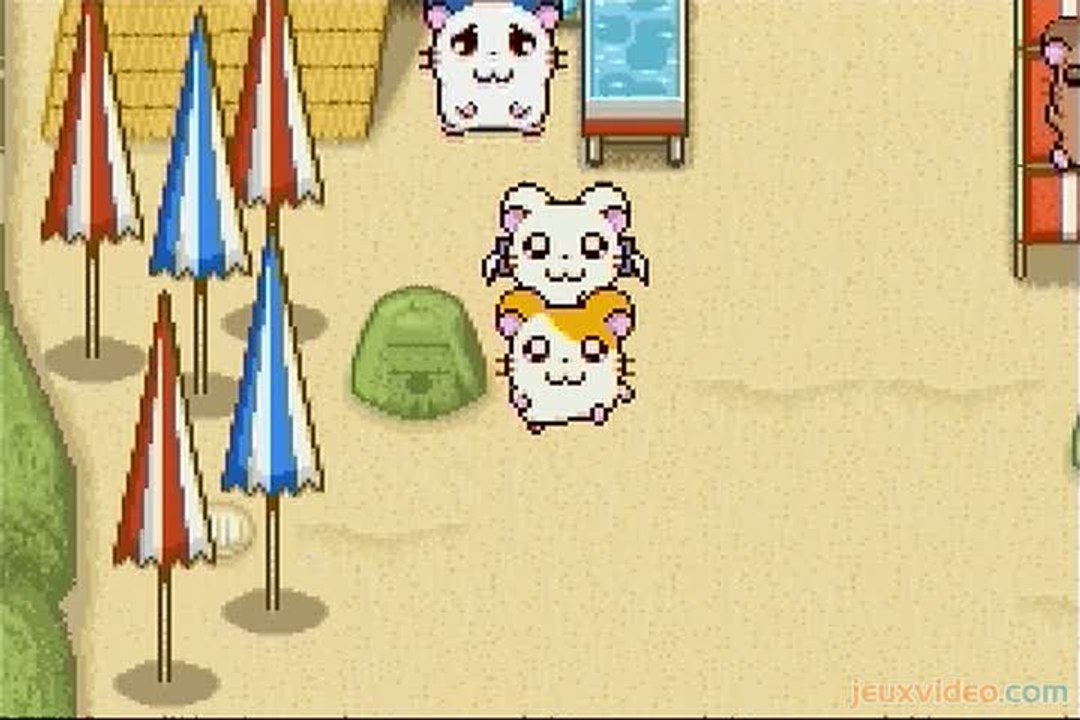 Hamtaro : Ham-Ham Heartbreak : Hamsters enquêteurs