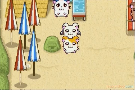 Hamtaro : Ham-Ham Heartbreak : Hamsters enquêteurs