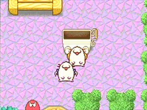 Hamtaro : Ham-Ham Heartbreak : Hamsters