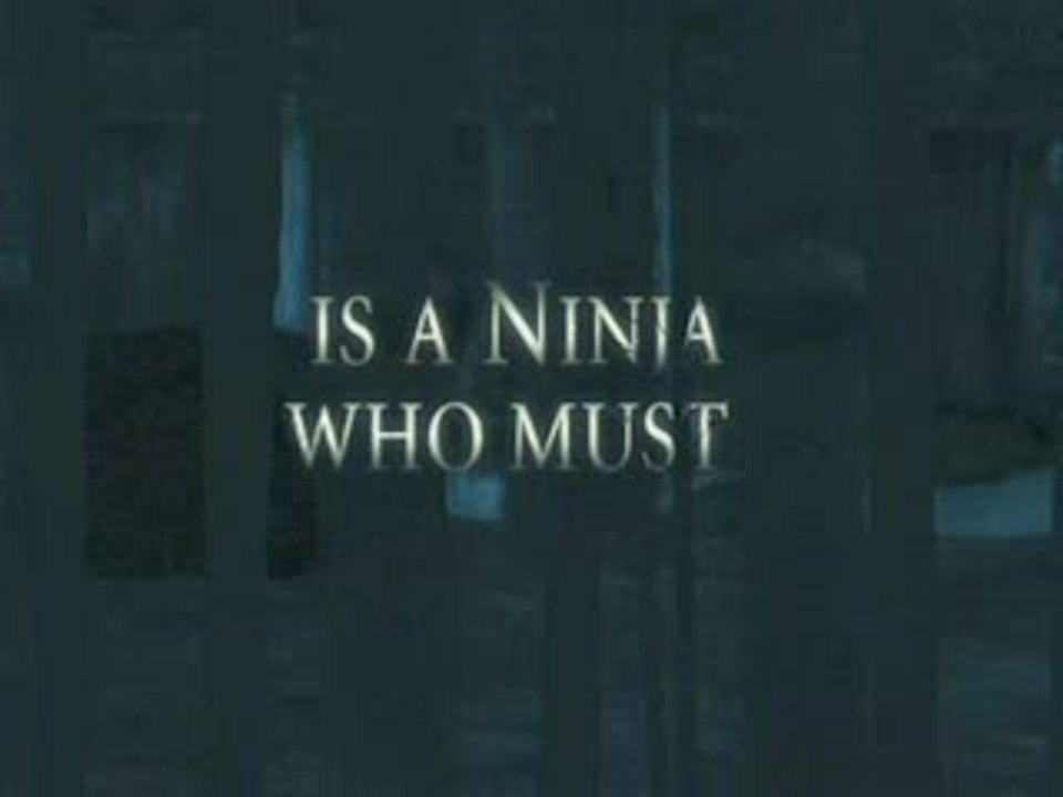 Tenchu : Le Retour des Ténèbres : Négatif et couleurs