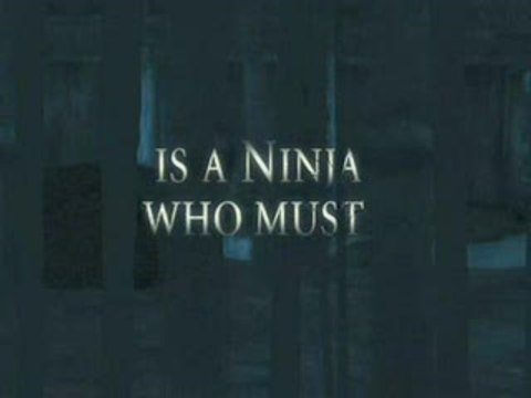 Tenchu : Le Retour des Ténèbres : Négatif et couleurs