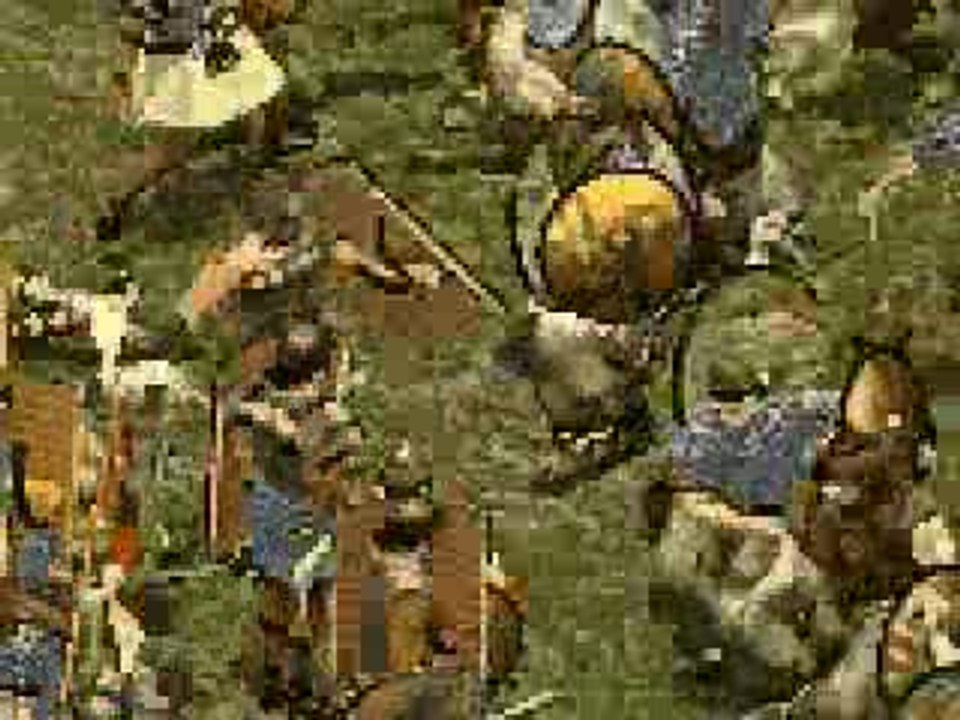 City States : Stone to Steel : Vu de près