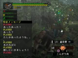 Monster Hunter : Gameplay