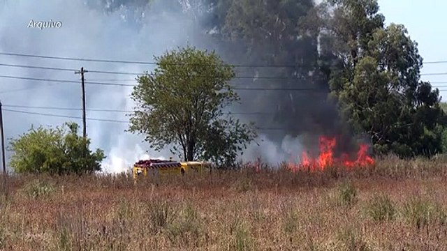 Proteger 30% do planeta é apenas o começo