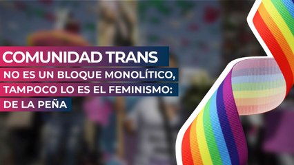 Comunidad trans no es un bloque monolítico, tampoco lo es el feminismo: De la Peña