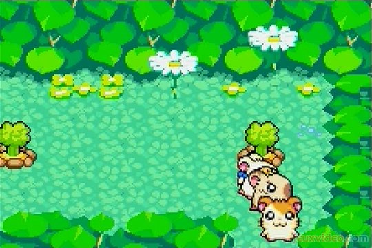 Hamtaro : Rainbow Rescue : Aventure et mini-jeu
