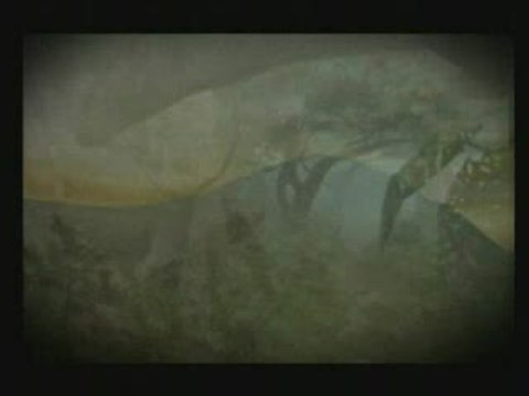 ShellShock : Nam '67 : Peace, love and Viêt Nam