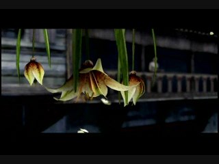 Paradise : Vues de la Mauranie