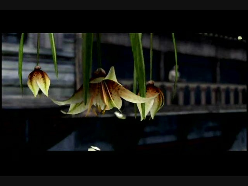 Paradise : Vues de la Mauranie