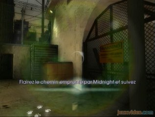 Catwoman : Instinct de chat