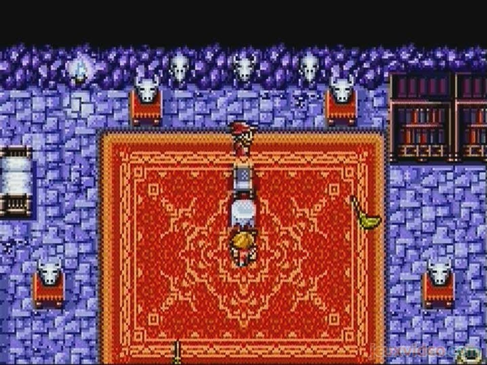 Final Fantasy I & II : Dawn of Souls : La tanière de Matoya