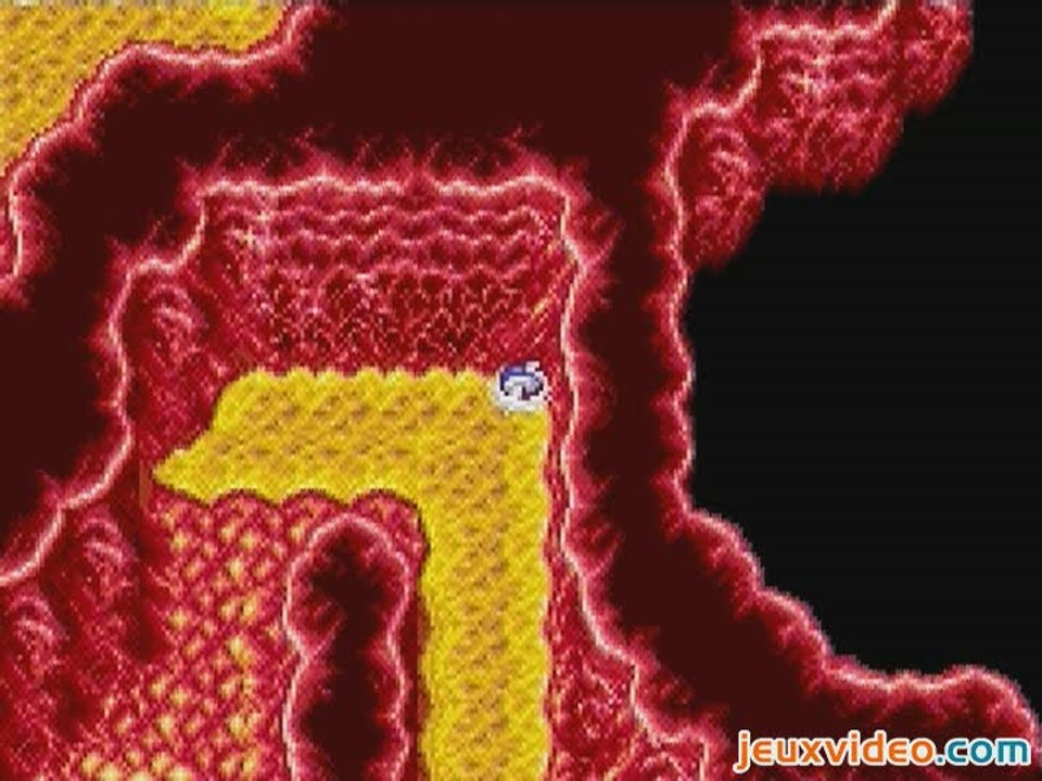 Final Fantasy I & II : Dawn of Souls : Dans la...
