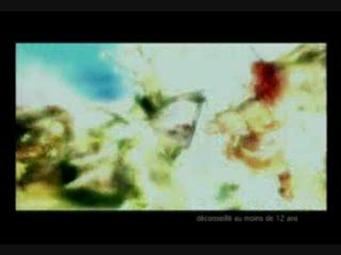 Le Seigneur des Anneaux : Le Tiers Âge : Trailer fr