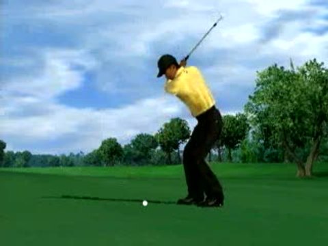 Tiger Woods PGA Tour 2005 : Et le tigre est en toi