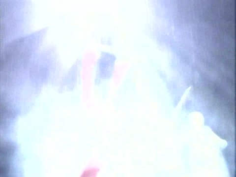 Le Seigneur des Anneaux : Le Tiers Âge : Interview Don Veca