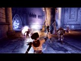 Dragon Age : Origins : Au coeur du combat 3