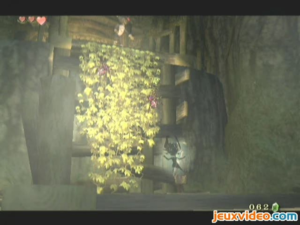 The Legend of Zelda : Twilight Princess : Donjon