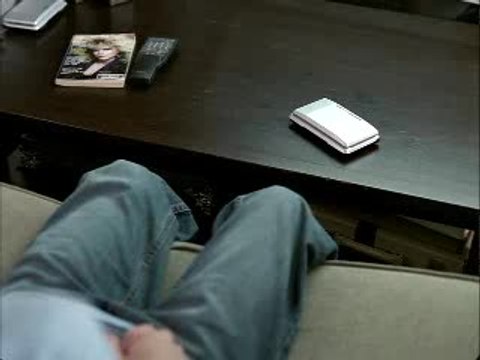 Nintendogs : Labrador & ses Amis : Pub TV