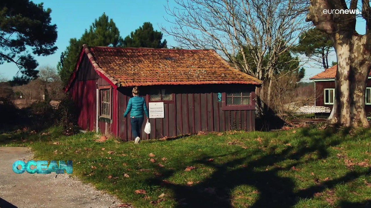 Fischerei: das stereotyp des "männerberufs" ist überholt