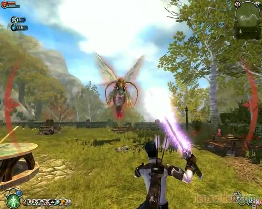 Fable : The Lost Chapters : Des guêpes, encore des guêpes, toujours des guêpes