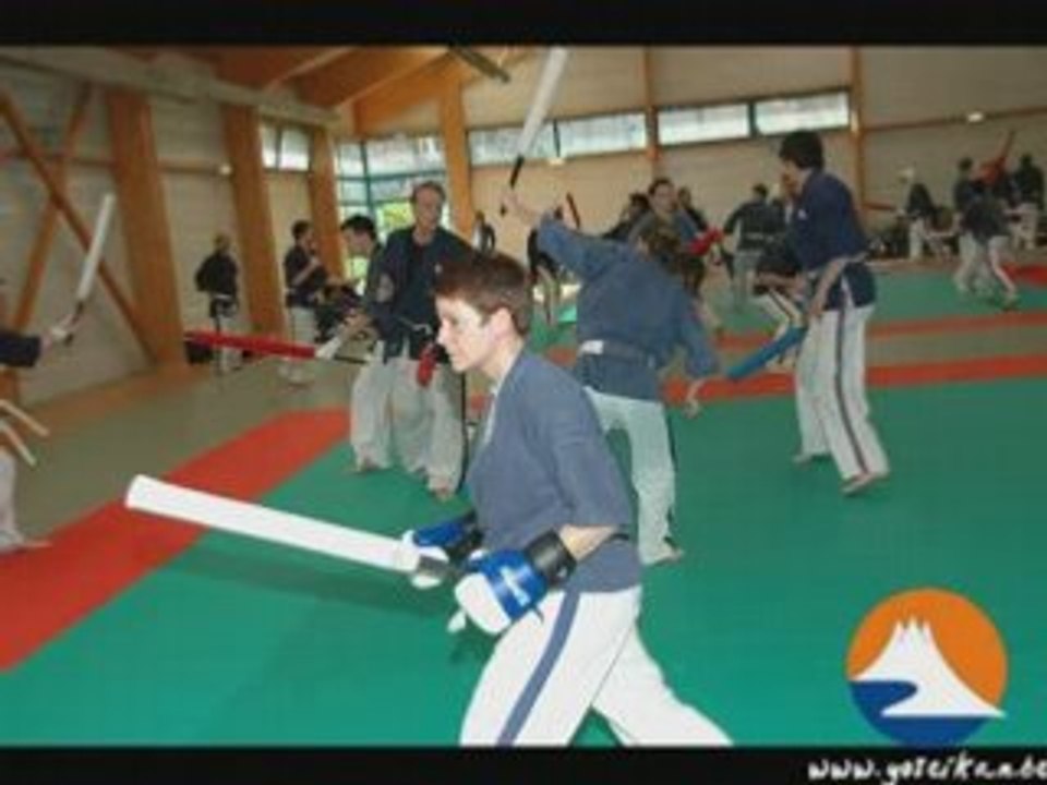 Stage Yoseikan Budo Maitre Mochizuki Villiers le Bel 2006