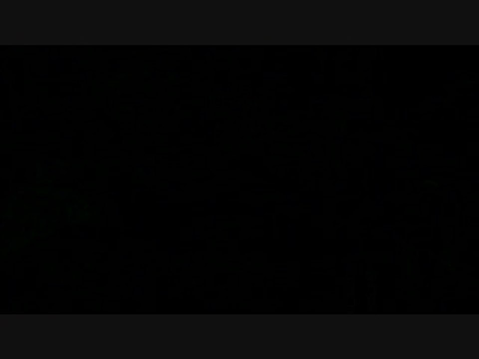 Enemy Territory : Quake Wars : Guérilla