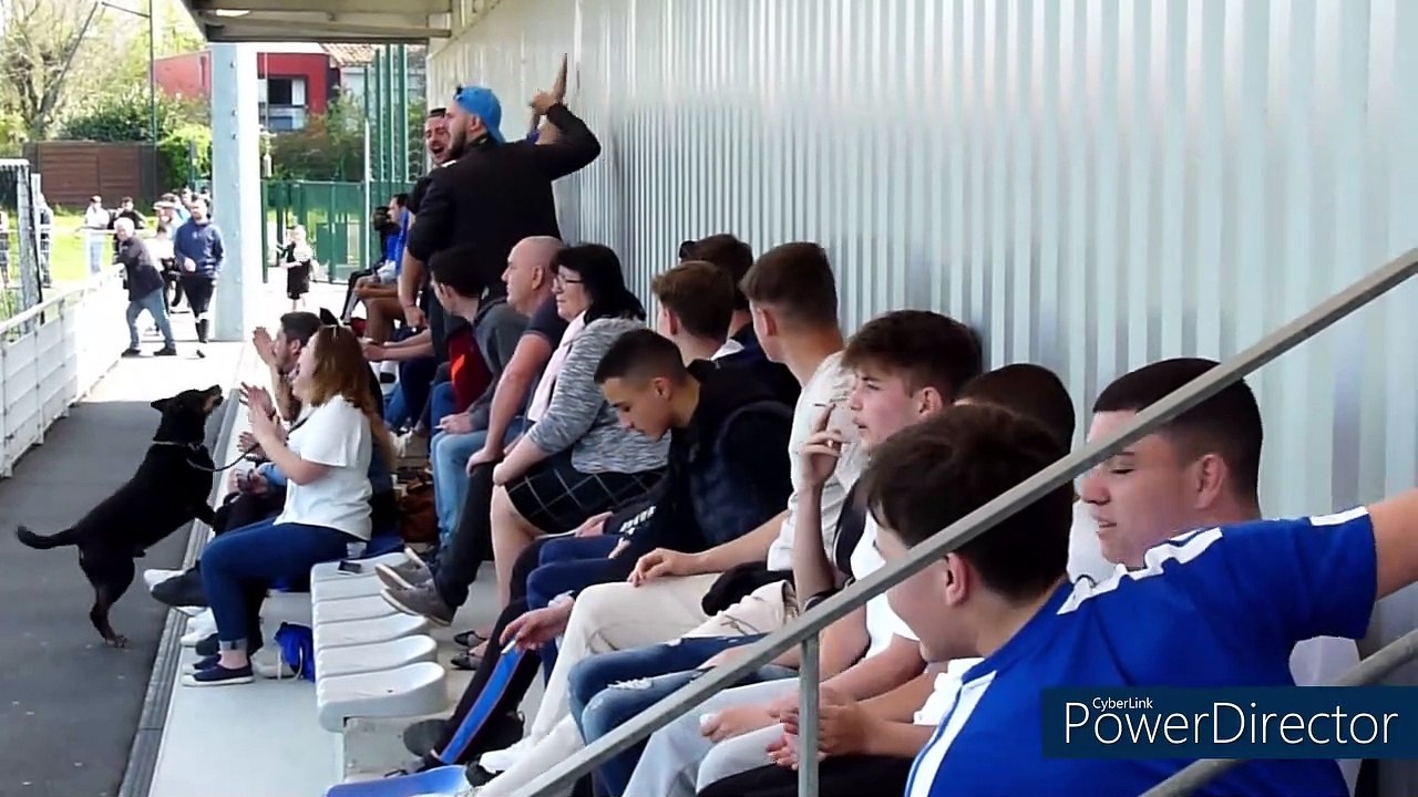 Nos séniors A sont qualifiés en quart de finale de la coupe du district