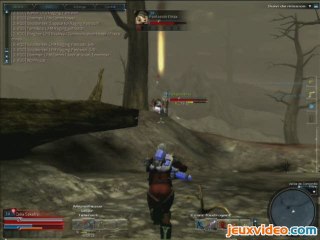 Tabula Rasa : Combats