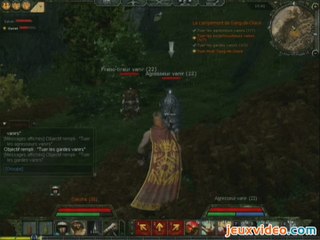 Age of Conan : Hyborian Adventures : Cimmérie