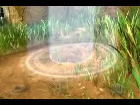 Zoo Tycoon 2 : Espèces en Danger : Zoo de rêve