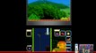 Tetris DS : Présentation des modes de jeu