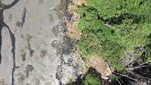 Pela enésima vez, Rio lança plano de limpeza da Baía de Guanabara