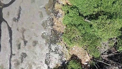 Pela enésima vez, Rio lança plano de limpeza da Baía de Guanabara