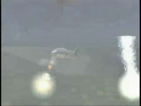 Les Dents de la Mer : Les dents de la mer, c'est vous