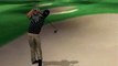 Tiger Woods PGA Tour 06 : Tiger et ses potes
