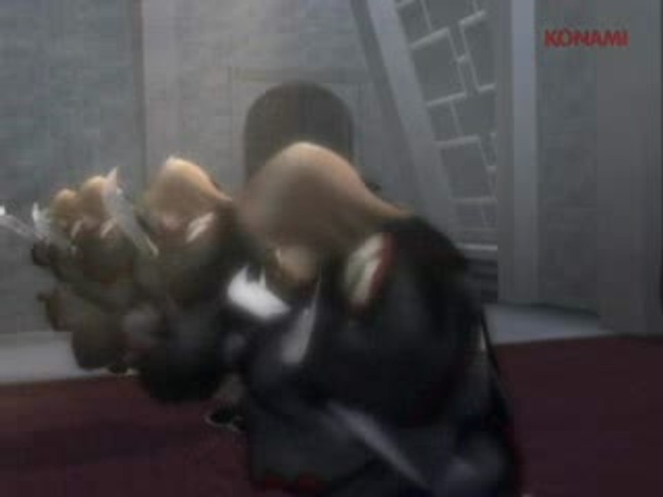 Suikoden V : Rivages de fantaisie