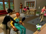 Les Sims 2 : La Bonne Affaire : Mode d'emploi St Valentin