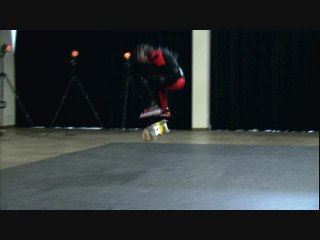 Tony Hawk's Project 8 : Paul Rodriguez