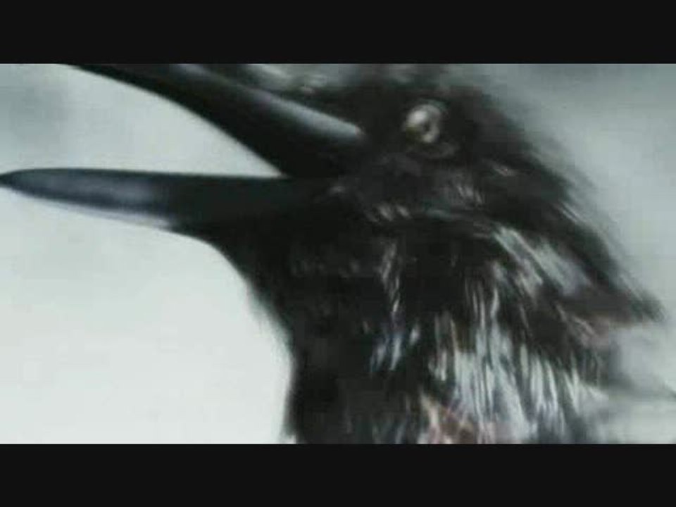 Bullet Witch : La sorcière mal-aimée