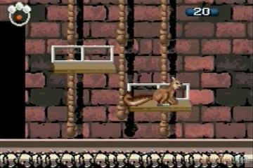 The Wild : Ecureuil acrobate