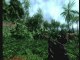 Crysis : Jungle