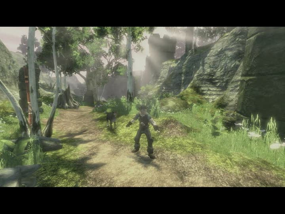 Fable II : E3 2008 : Gameplay